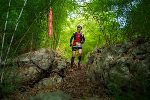 BIB: 
                            <button type="button" onclick="openModal(22089542)" class="btn btn-primary btn-sm float-right btn-popup" data-toggle="modal" data-target=".modal-high-quality">
                        <i class="fas fa-shopping-cart"></i> Add to Cart
                    </button>
                                            <button type="button" onclick="isThisMe(22089542, true)" class="btn btn-success btn-sm float-right btn-popup btn-isme hidden" data-toggle="tooltip" data-placement="bottom" title="นี่คือรูปของคุณใช่ไหม คลิกที่นี่เพื่อเอาเข้าอัลบั้ม">
                        <i class="fas fa-plus"></i> Add to album
                    </button>
                    <button type="button" onclick="isThisMe(22089542, false)" class="btn btn-warning btn-sm float-right btn-popup btn-isnotme hidden">
                        <i class="fas fa-ban"></i> Remove from album
                    </button>